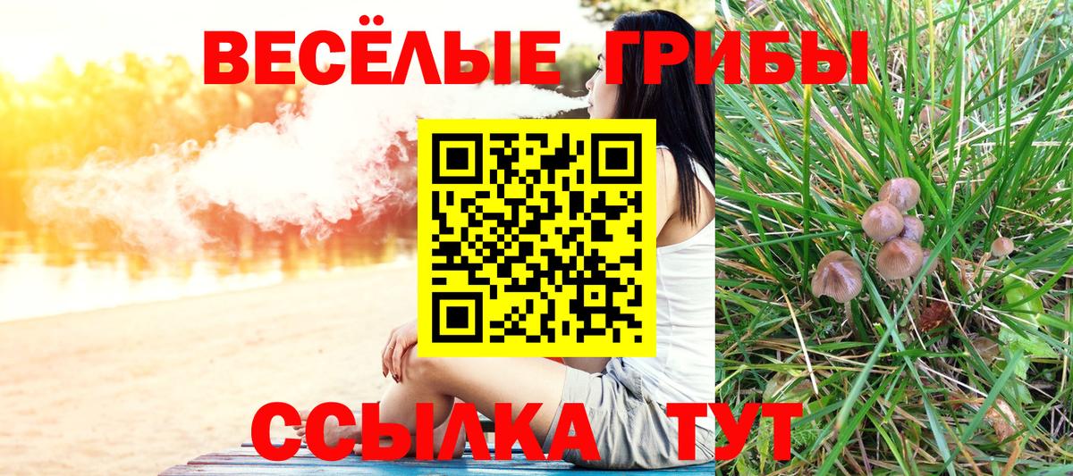 Псилоцибиновые грибы GOLDEN TEACHER Вольск